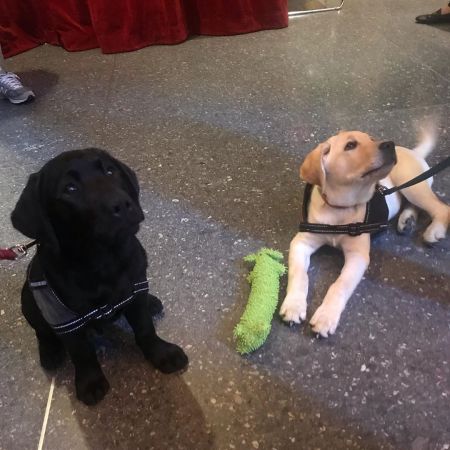 Michael John Davies' wife, Cynthia McFadden lives with two dogs, Doyle and Larry