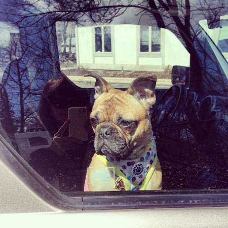 John Stofflet' wife, Anna Trull's pet dog