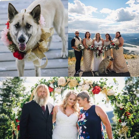 Monica Beets dog Doyle, her relatives and her parents taking photographs at her wedding