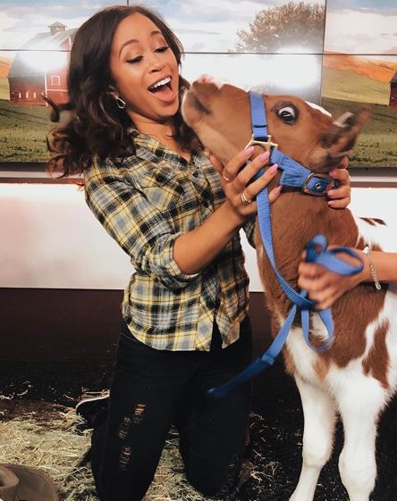 The cow is not very amused to see Alex Holley