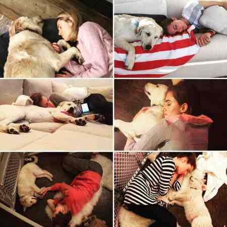 Allison Williams lives with a labrador retriever, Mox