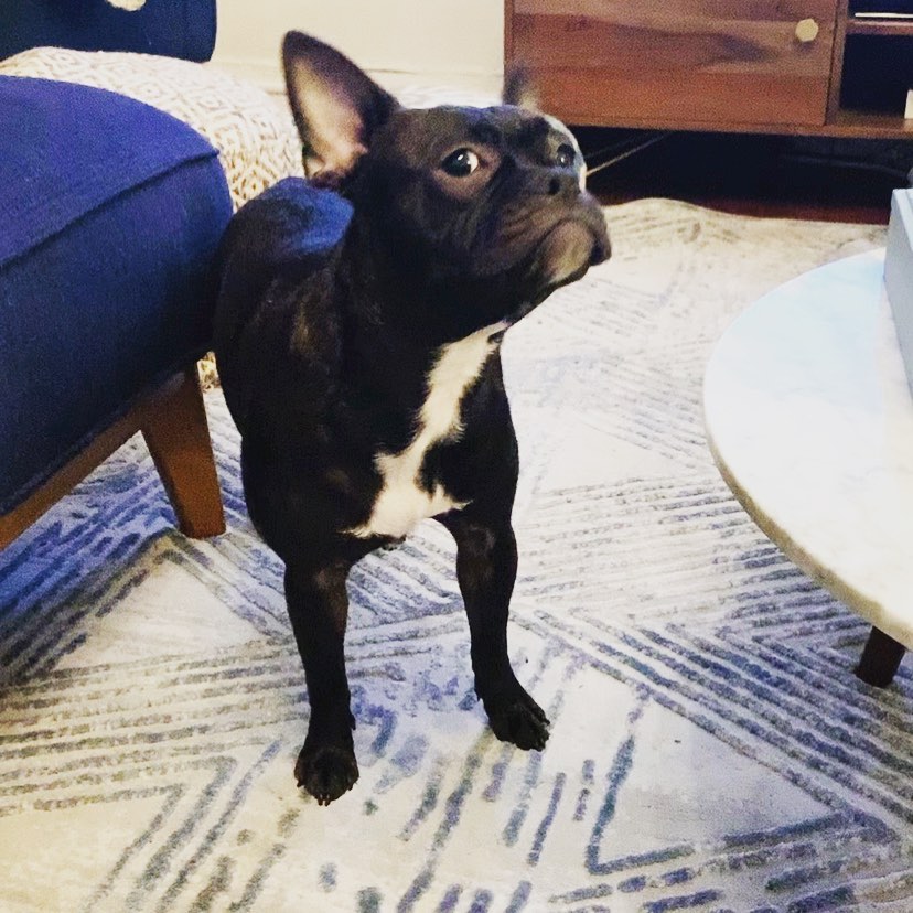 Norma Jean child of Chad