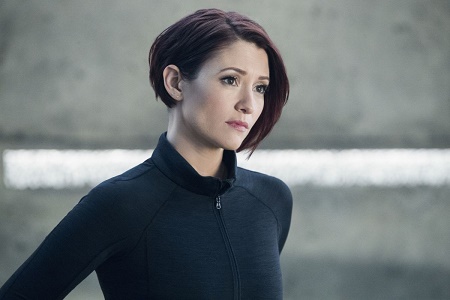 Supergirl's Star Chyler Leigh Reveals About her Sexuality Openly