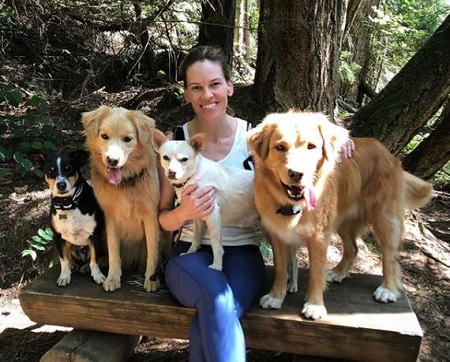  The Hilaroo Foundation founder Hilary Swank with the rescued dogs.