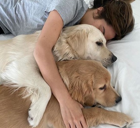 The Instagram model Danielle Aayla's pet dogs Sonic and Brody Laurent.