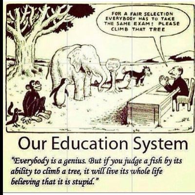 A meme shared by Monique Ganderton boycotting the education system.