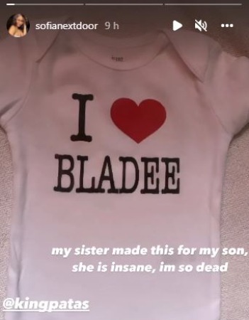 The picture of an Instagram story shared by Sofia Mancilla. 